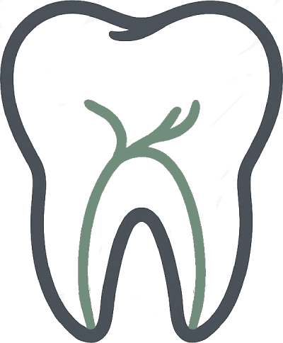 Endodontincs