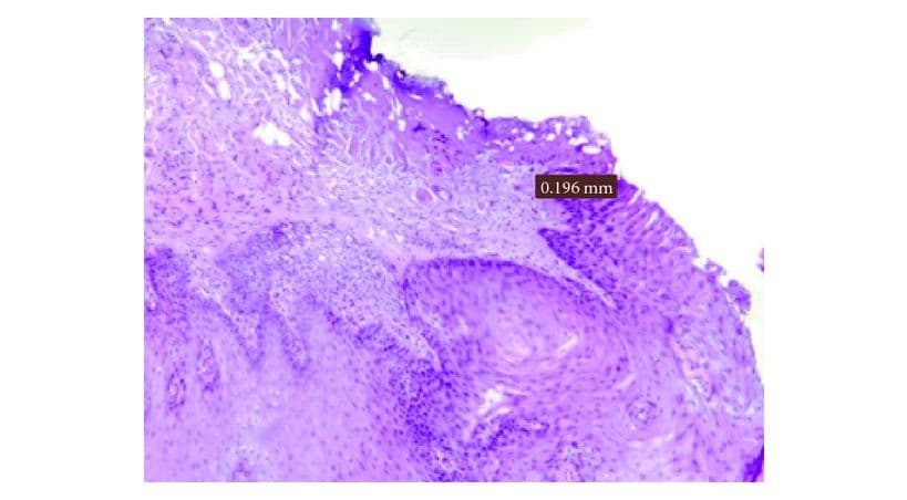 Service image 3