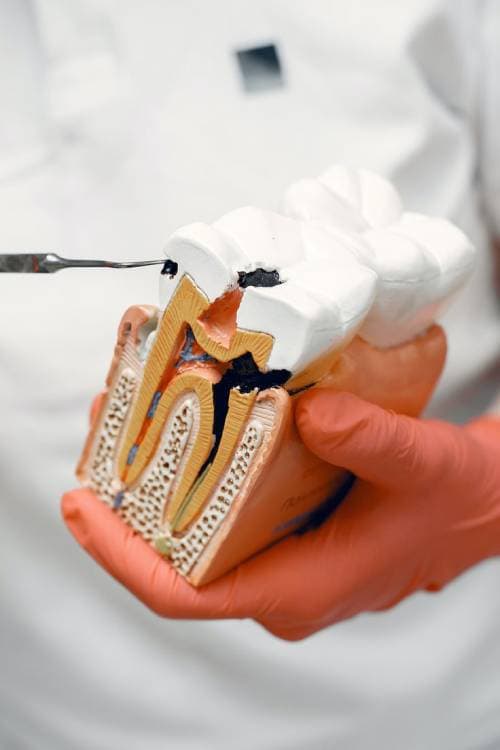 Service image 3